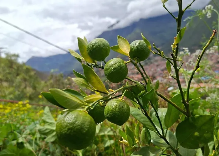 Tara Vegan - Sacred Valley Resort *